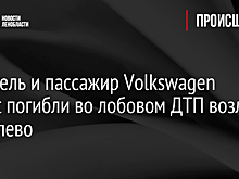 Водитель и пассажир Volkswagen Passat погибли во лобовом ДТП возле Яльгелево