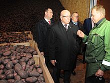 Девять ярмарок выходного дня откроются в Нижнем Новгороде