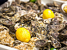 Устриц и морских ежей съел экс-замглавы МЧС, а не адвокат Удунян