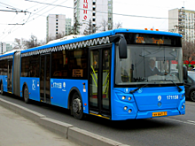 95 новых автобусов выйдут на дороги Владивостока