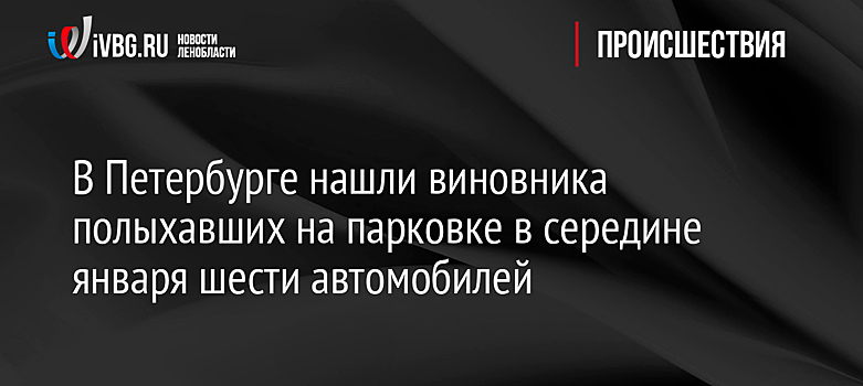 В Петербурге нашли виновника полыхавших на парковке в середине января шести автомобилей