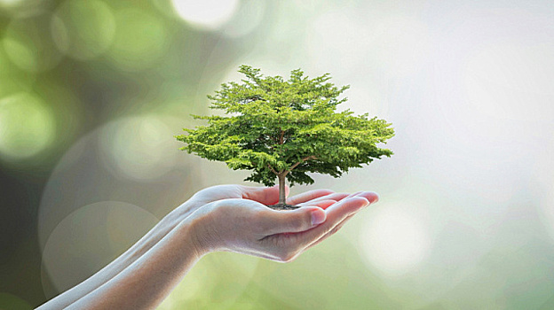 Правительство Западно-Капской провинции отмечает Всемирный день окружающей среды