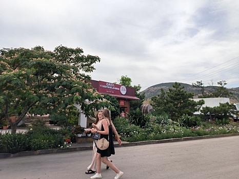 АТОР: туристы не испугались атаки БПЛА на Крым