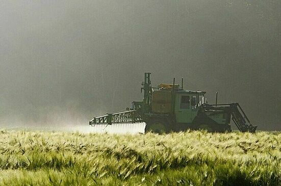 Данкверт рассказал о повышении количества пестицидов в продуктах