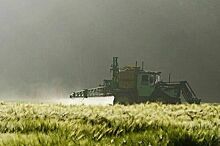 Данкверт рассказал о повышении количества пестицидов в продуктах