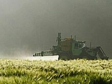 Данкверт рассказал о повышении количества пестицидов в продуктах