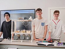 Школьники Глазова разработали систему контроля проращивания семян