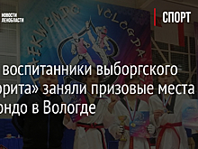 Фото: воспитанники выборгского «Фаворита» заняли призовые места по тхэквондо в Вологде