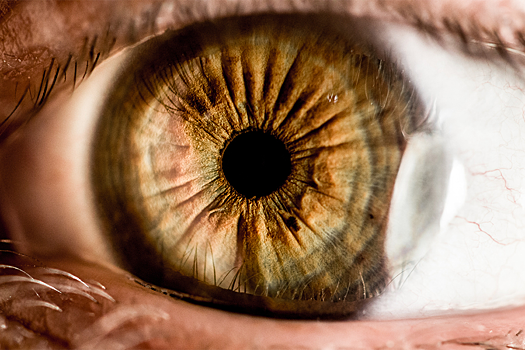 11 октября: на Осеннего Николу карие глаза спать спокойно не дадут