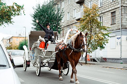 В Красноярске появилось бесплатное эко-такси