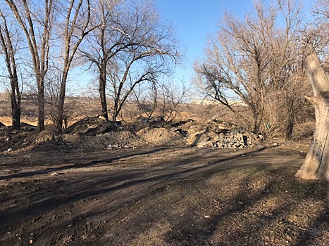 «Кучи на месте»: волгоградские чиновники обещают убрать заваленный мусором Комсомольский парк