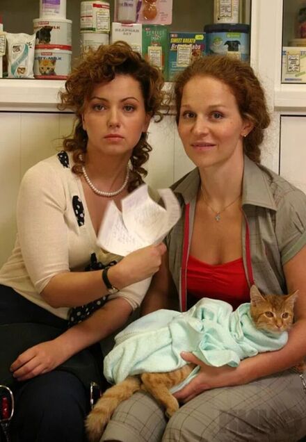 Все звезды! Восьмой день рождения "Акцентов"! 2013. Магазин "Акценты"