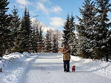 Россиян научили защищать животных от дорожных реагентов