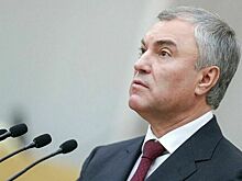 В Госдуме призвали не проверять произведения классиков на пропаганду ЛГБТ