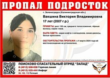 В Зеленоградске ищут 17-летнюю девушку, пропавшую сутки назад