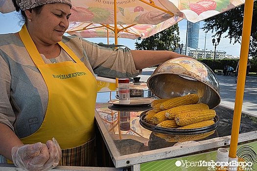 С улиц Екатеринбурга начнут изымать тележки c мороженым и кукурузой