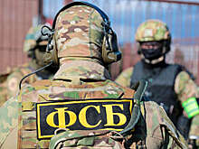 УФСБ по ЛНР задержало мужчину по подозрению в передаче Украине данных о ВС РФ