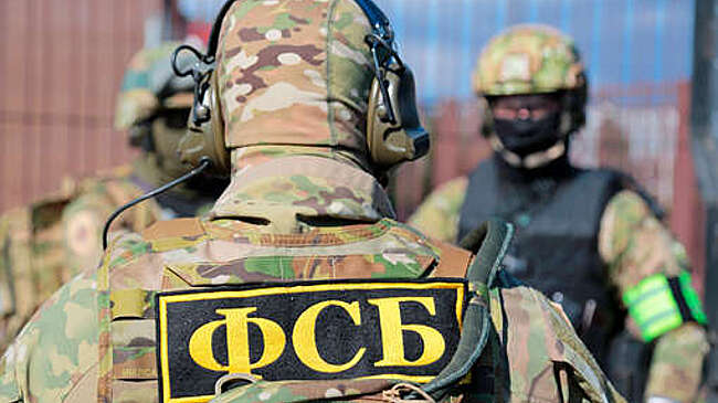 ФСБ: жительница Черногорска ответит перед законом за поддержку террористов