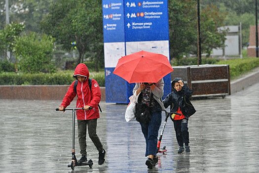 Циклонический вихрь к выходным принесет в Москву похолодание и до 40% от месячной нормы осадков — Фобос