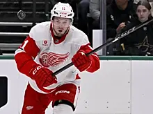 В The Hockey Writers назвали подходящий клуб для обмена Тарасенко из «Детройта»