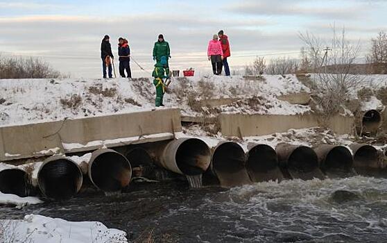 Радионова прокомментировала штраф ЧМК