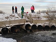 У экс-главы Марий Эл изъяли развлекательный центр стоимостью 111 млн рублей