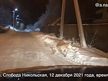 В пригороде Кирова заметили рысь