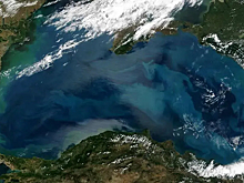 Мертвая зона в Черном море: что ставит в тупик ученых