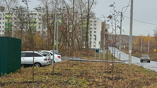 В Заре высадили каштаны, клены, рябины и сирень