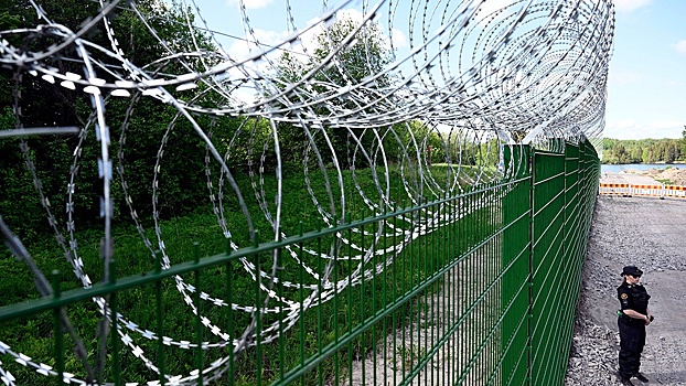Эксперты: возведение Финляндией забора на границе с РФ нарушит экологическое равновесие
