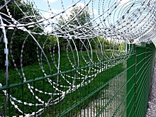 Эксперты: возведение Финляндией забора на границе с РФ нарушит экологическое равновесие