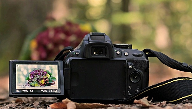 Работы дошкольников из района Коньково отмечены призовыми местами на фотоконкурсе Мосприроды