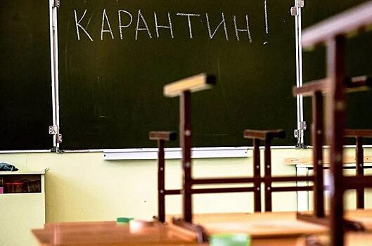 В школах Оренбургской области 174 класса находятся на карантине
