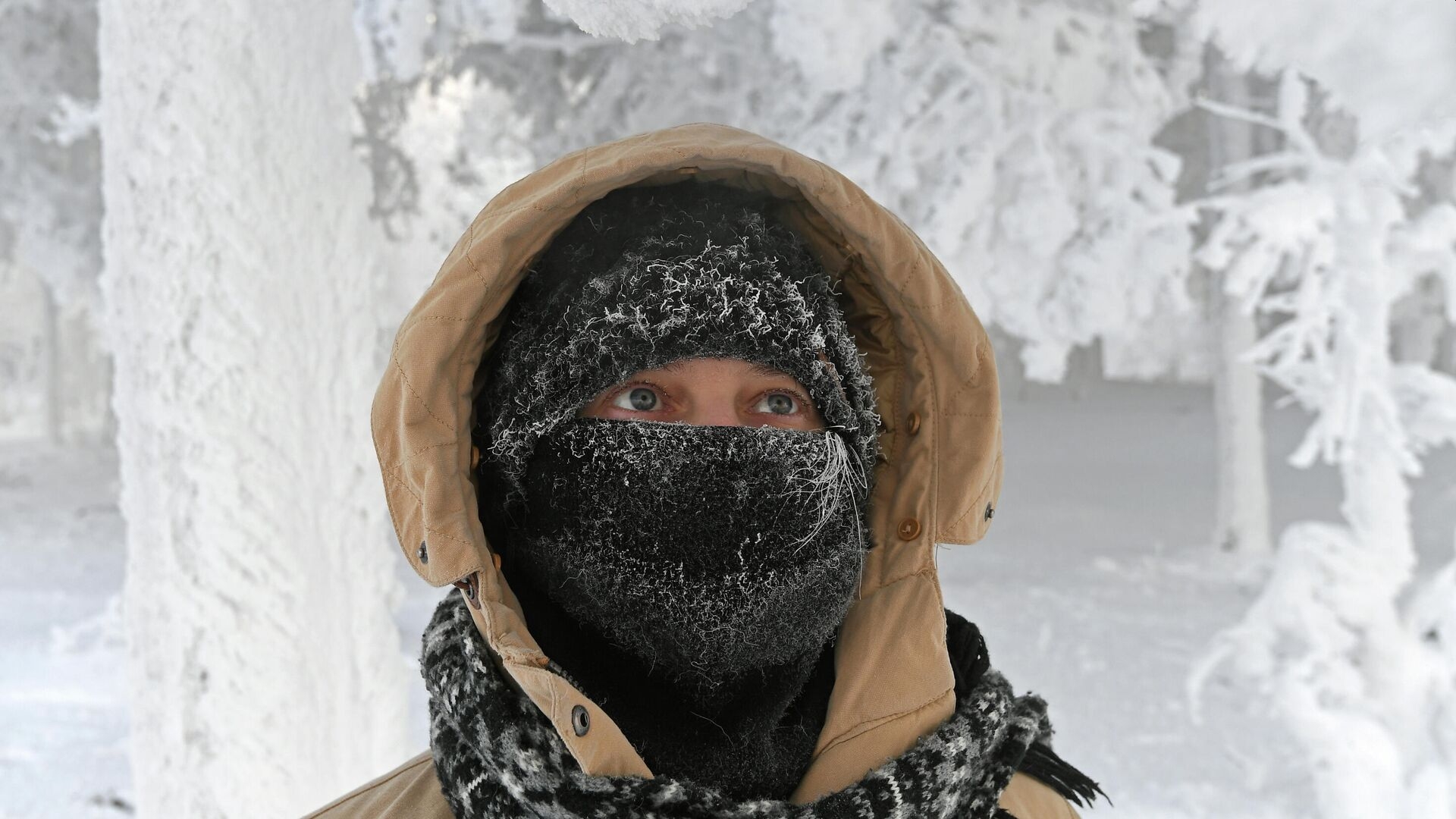 Температура в Московской области снова опустилась до -30°C