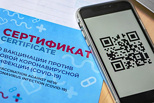 Повсеместное введение QR-кодов во Владимирской области отложили