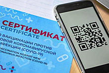 Повсеместное введение QR-кодов во Владимирской области отложили