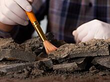 Археолог раскрыл происхождение тысячелетнего «Экскалибура»