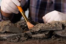 Археолог раскрыл происхождение тысячелетнего «Экскалибура»
