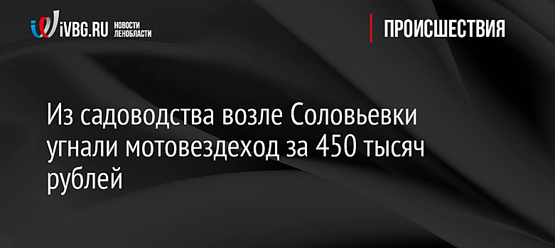 Из садоводства возле Соловьевки угнали мотовездеход за 450 тысяч рублей