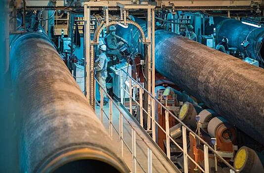 Влиятельный член партии Мерца призвал обсудить с Россией запуск «Северных потоков»