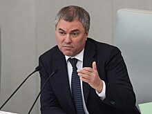 Володин попросил Пенсионный фонд быть скромнее