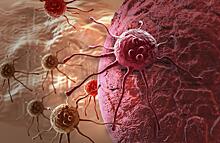 Учёные признали непобедимость рака