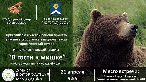 Активисты 21 апреля наведут порядок в «берлоге» у медведя Малыша