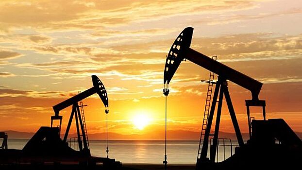 МК: Эксперт Пикин оценил, насколько "небольно" ударит кризис в США по нашей нефтянке