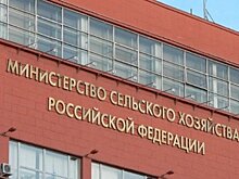 На 16,3% выросла погрузка на железной дороге в Приморье с начала 2022 года