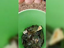 Москвичей испугал усеянный битым стеклом сквер