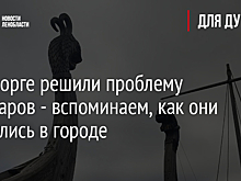 В Выборге решили проблему драккаров - вспоминаем, как они появились в городе