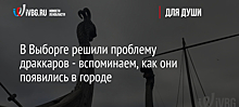 В Выборге решили проблему драккаров - вспоминаем, как они появились в городе