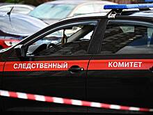 Юная россиянка заколола ребенка из-за боязни сказать о беременности родителям