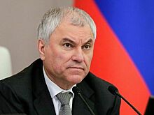 Володин считает необходимым пересмотреть подход к обучению в школах